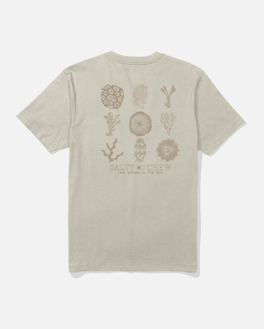 Back view of the Coral Head Tee - Bone.