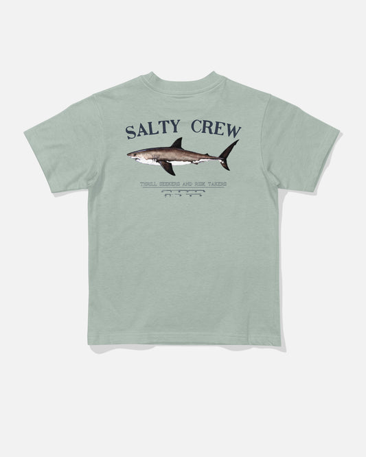 Back view of the Bruce Toddler Tee - Aqua Grey. 