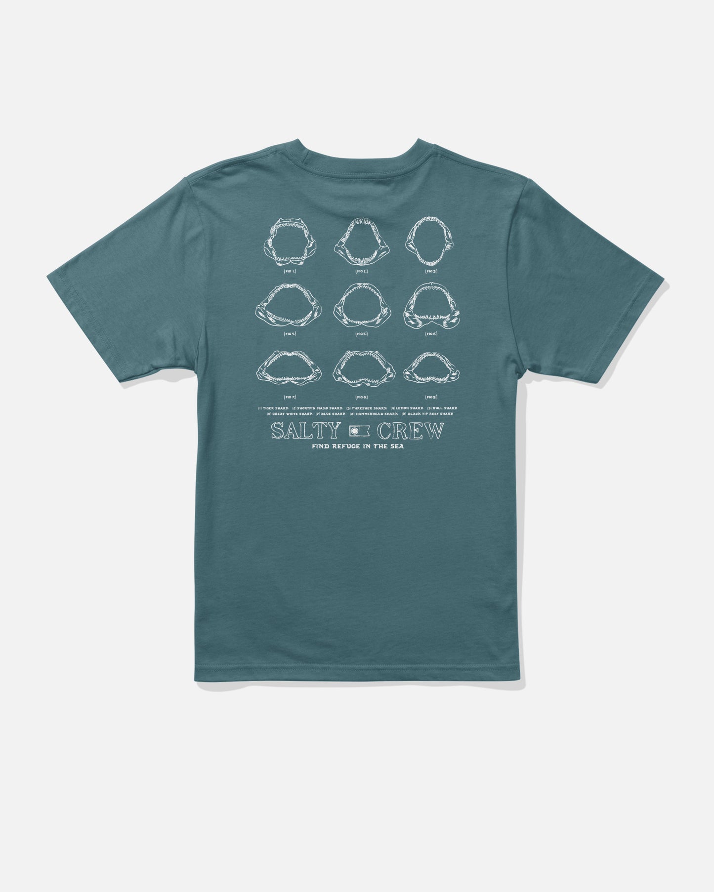 Jawbone Boys Tee - Hydro