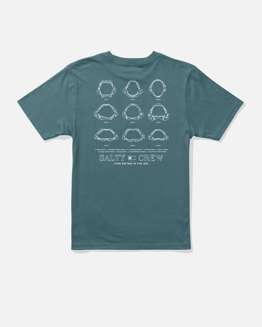 Jawbone Boys Tee - Hydro