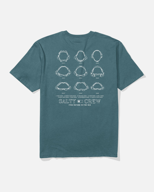 Jawbone Classic Tee - Hydro