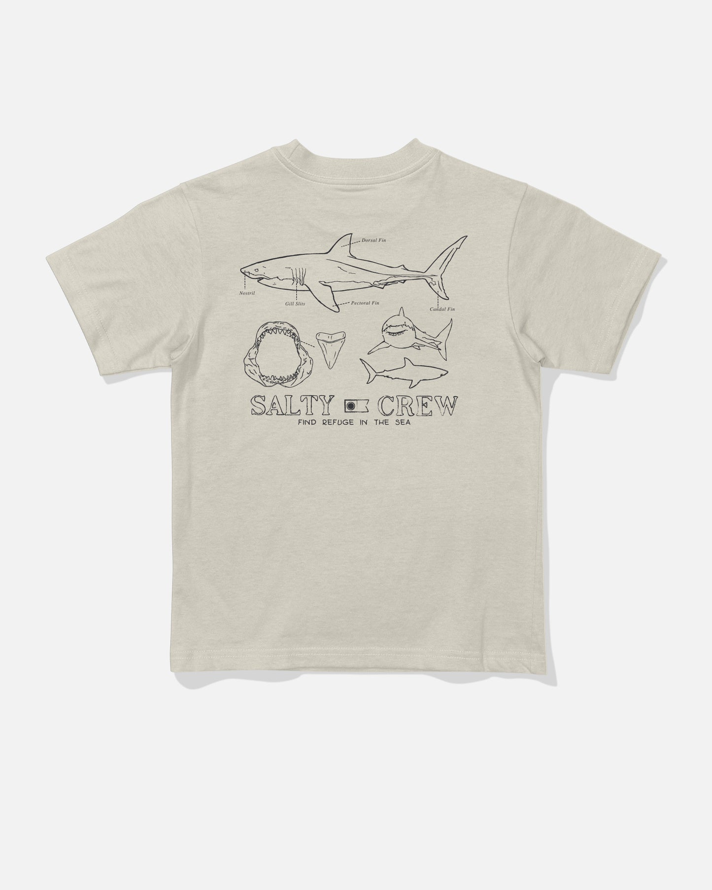 Back view of the Great White Toddler Tee - Bone. 