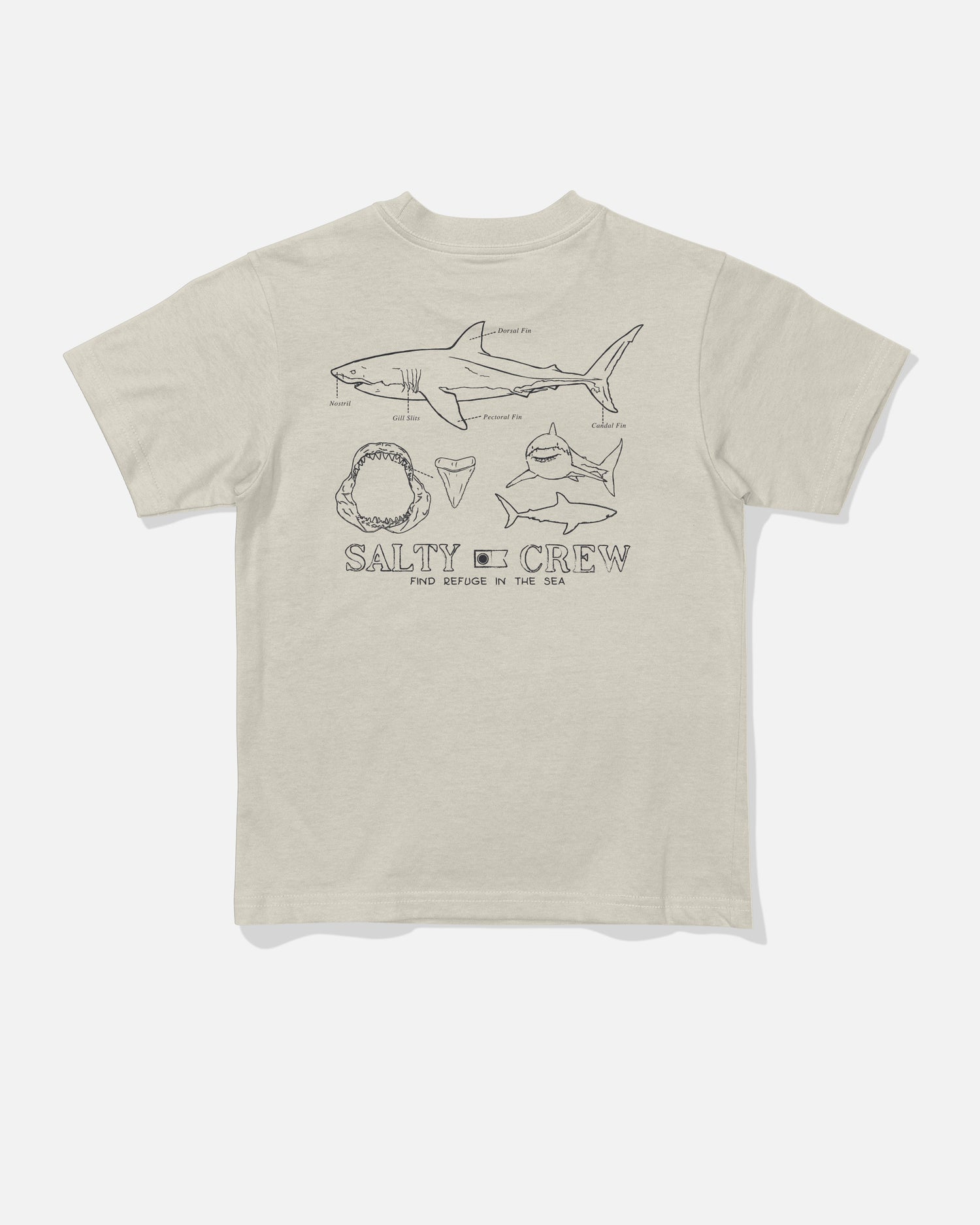 Back view of the Great White Toddler Tee - Bone. 