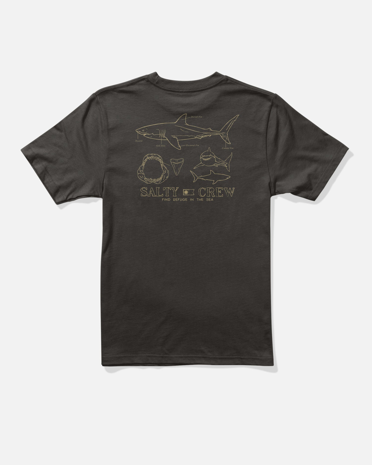Back view of the Great White Boys Tee - Black. 