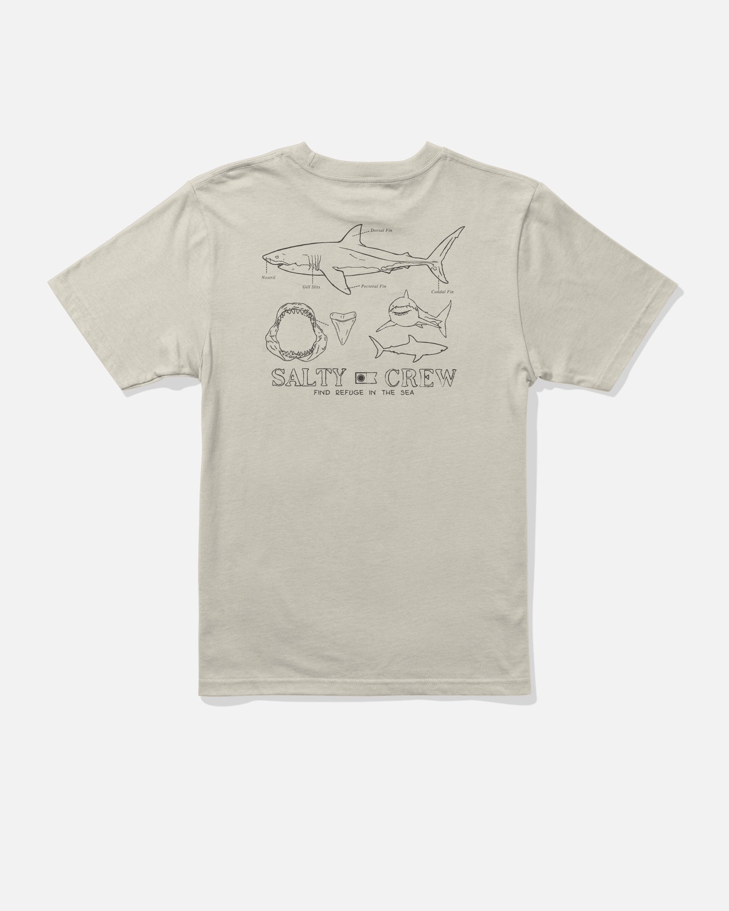 Back view of the Great White Boys Tee - Bone. 