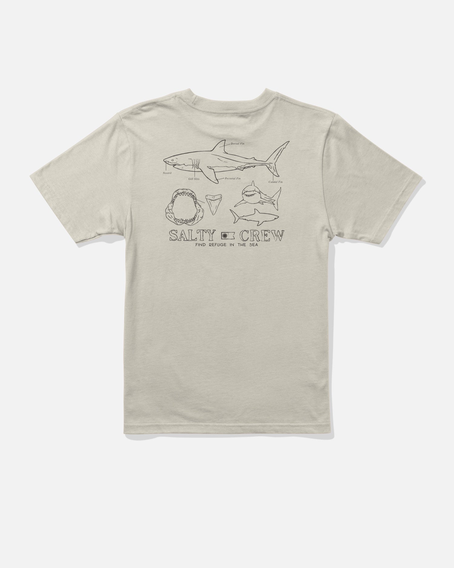 Back view of the Great White Boys Tee - Bone. 