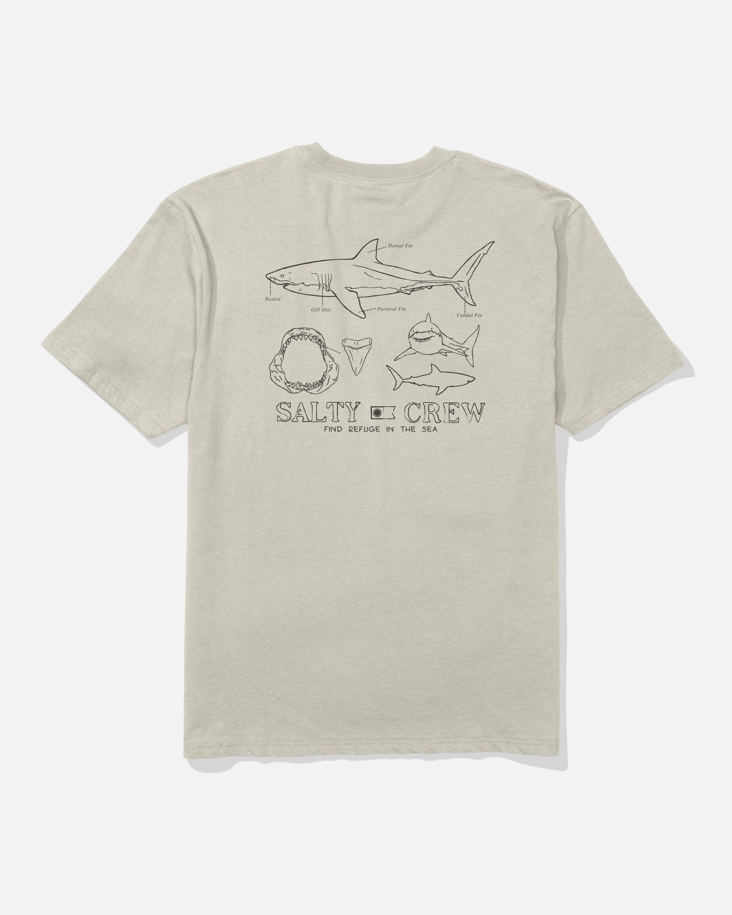 Back view of the Great White Classic Tee - Bone. 