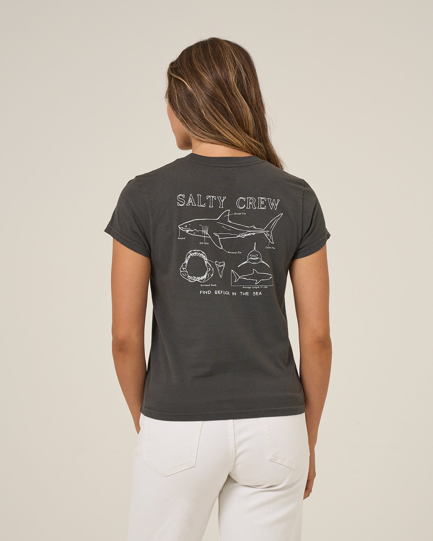Back view of the Shark Anatomy Modern Tee - Charcoal. 