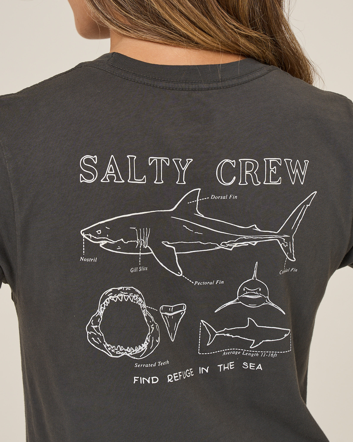 A person wears the Salty Crew Shark Anatomy Modern Tee in charcoal, featuring white line art of a shark with labeled jaws and fins, plus the text "SALTY CREW" and "FIND REFUGE IN THE SEA.