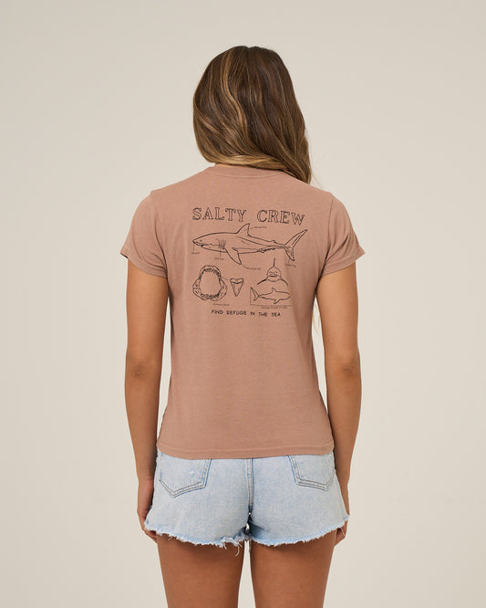 Back view of the Shark Anatomy Modern Tee - Mocha. 