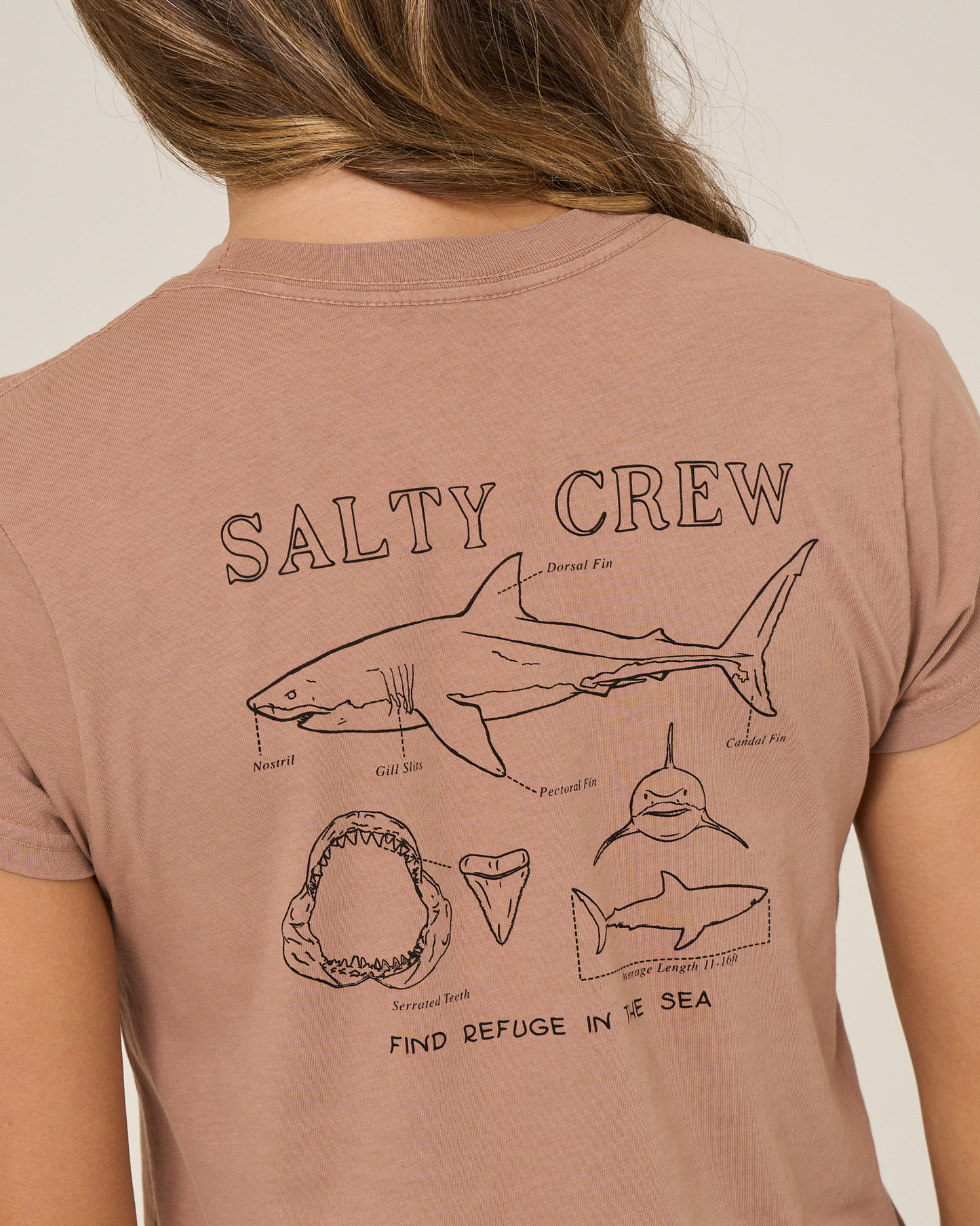 Someone is wearing the Salty Crew Shark Anatomy Modern Tee in mocha, featuring a diagram of a shark labeled fin, nostril, and gill slit, with the text "SALTY CREW" and "FIND REFUGE IN THE SEA.