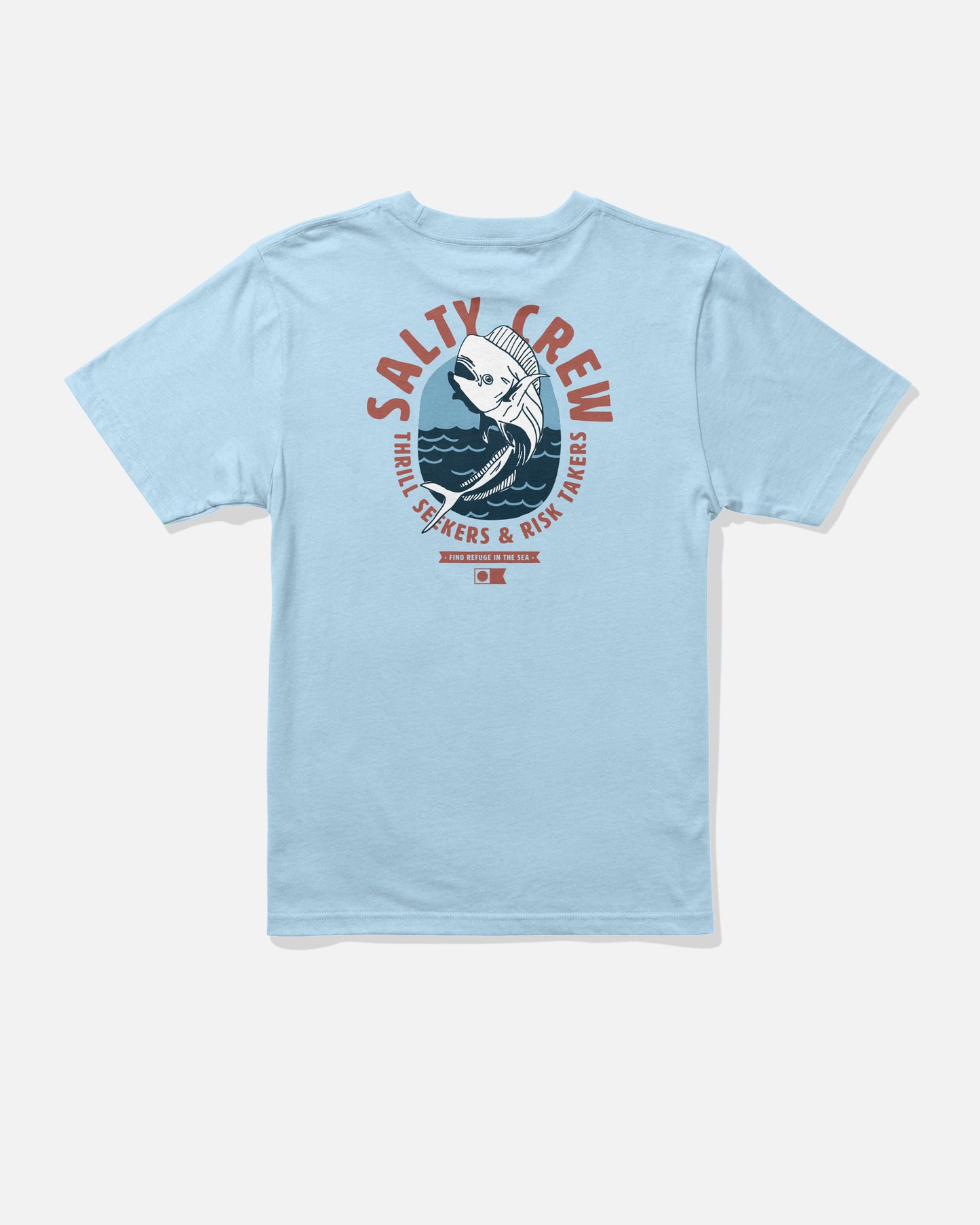 Back view of the Leaping Boys Tee - Clear Sky. 