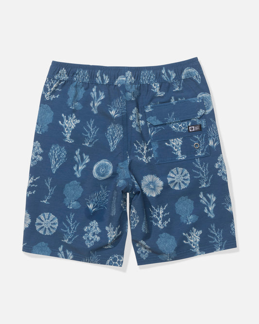 Back view of the Crew 16" Boys Volley - Cast Blue. 