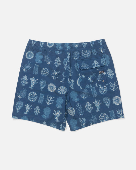 Back view of the Crew Volley - Cast Blue.