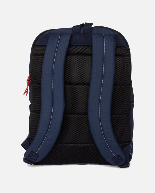 back view of view of Alpha Backpack - Sierra