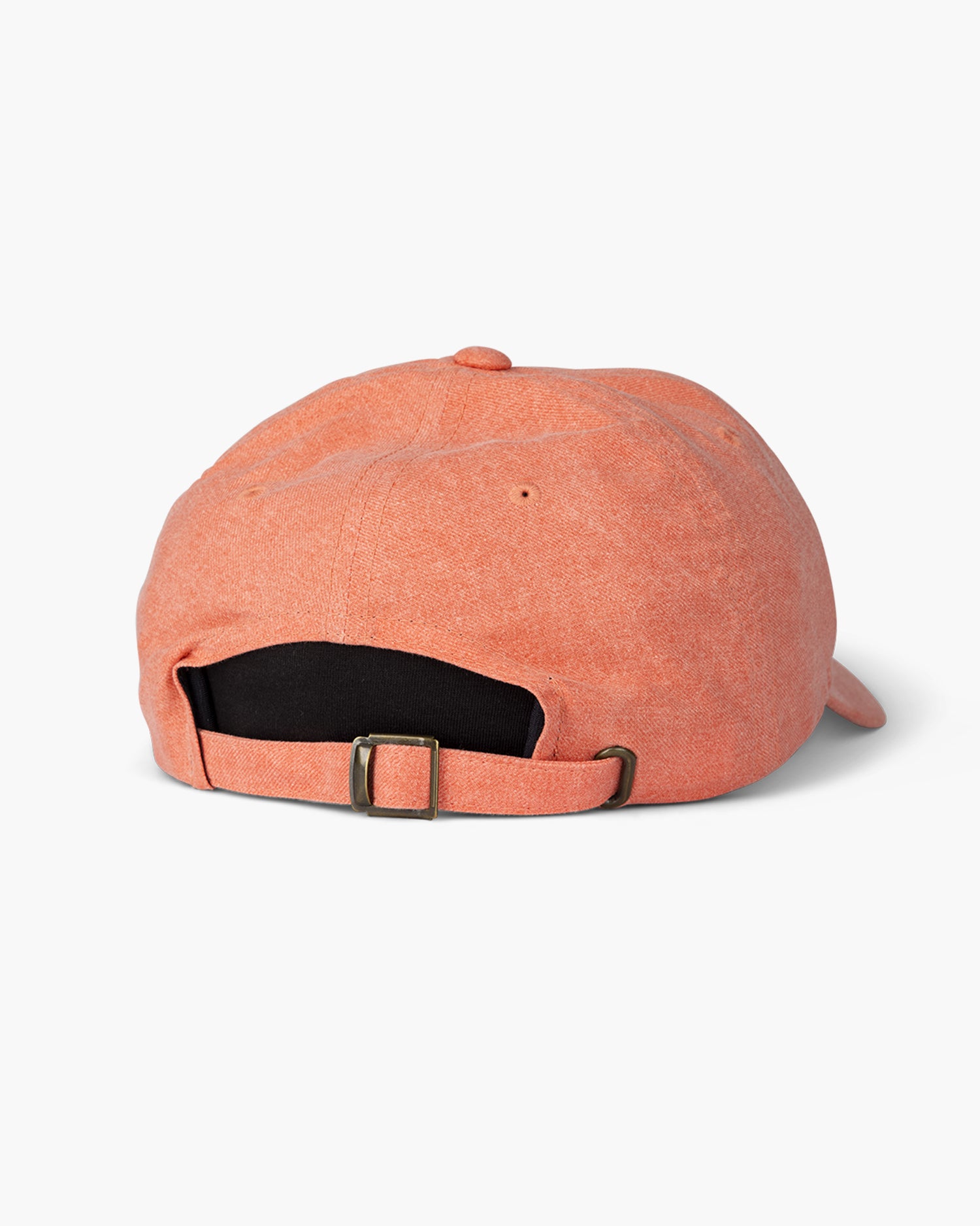 back view of Beached Coral Dad Hat